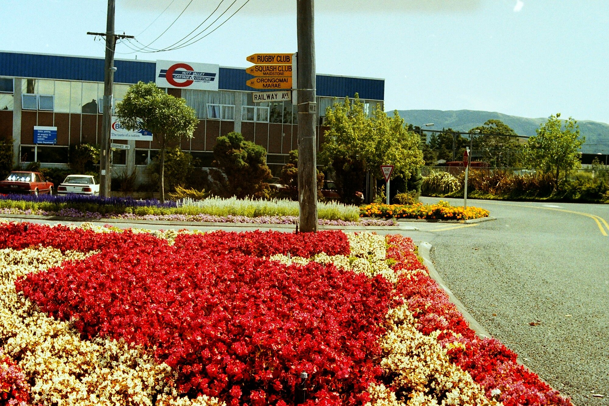 Gardens; Park Street, east of Railway Avenue, looking west.