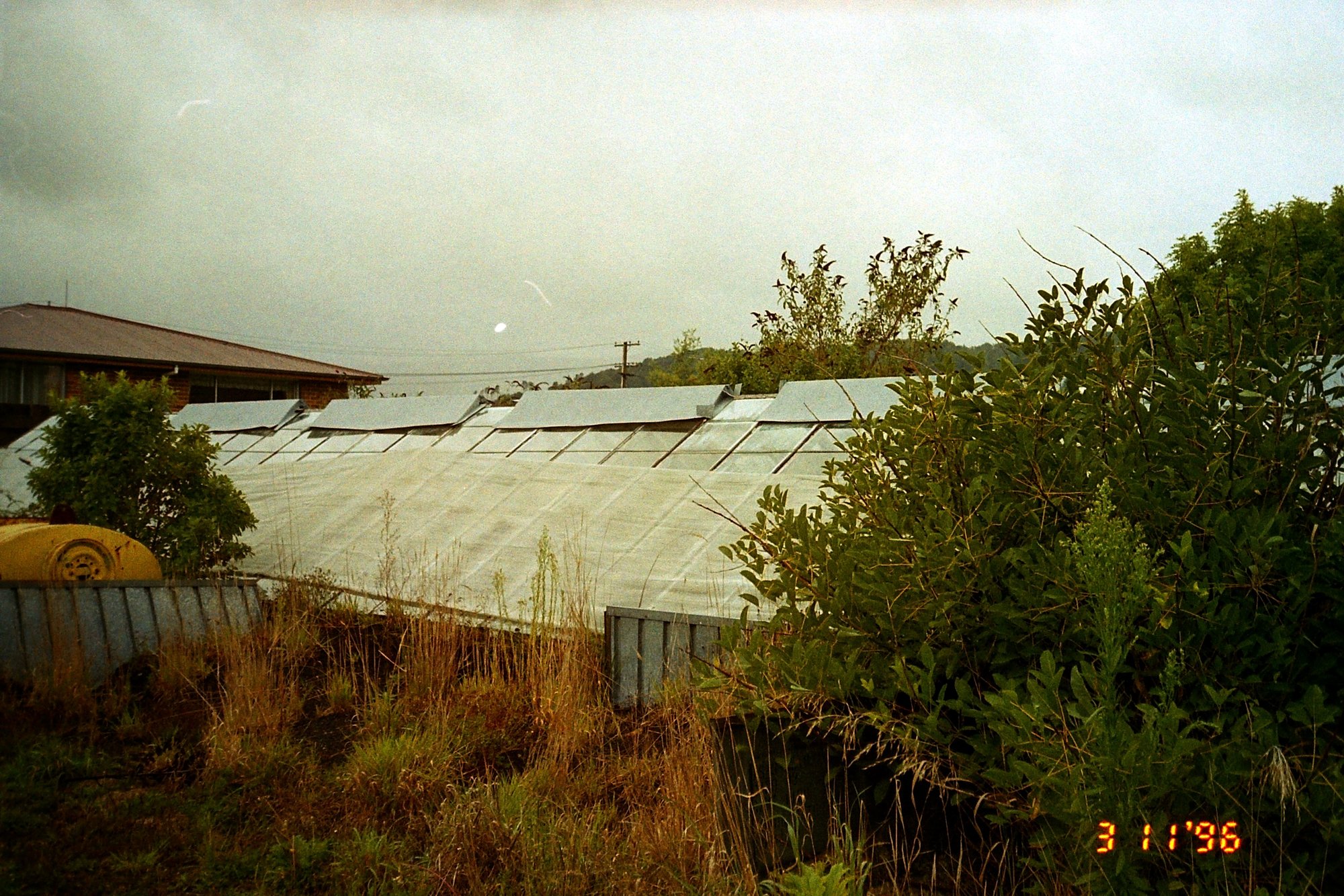 Former Kent garden centre, corner of Ranfurly Street and Fergusson Drive; glasshouse 1.