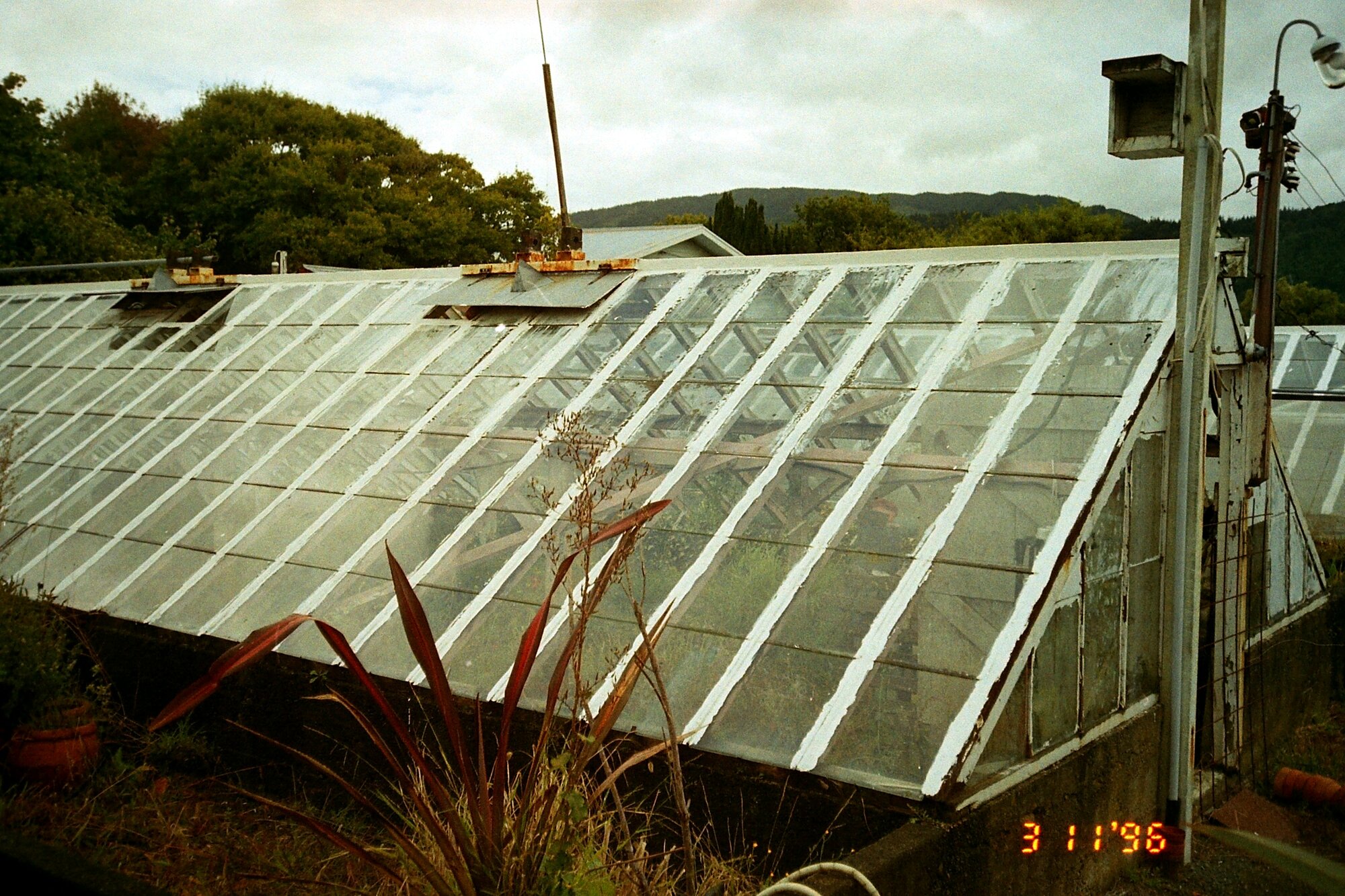 Former Kent garden centre, corner of Ranfurly Street and Fergusson Drive; glasshouse 2