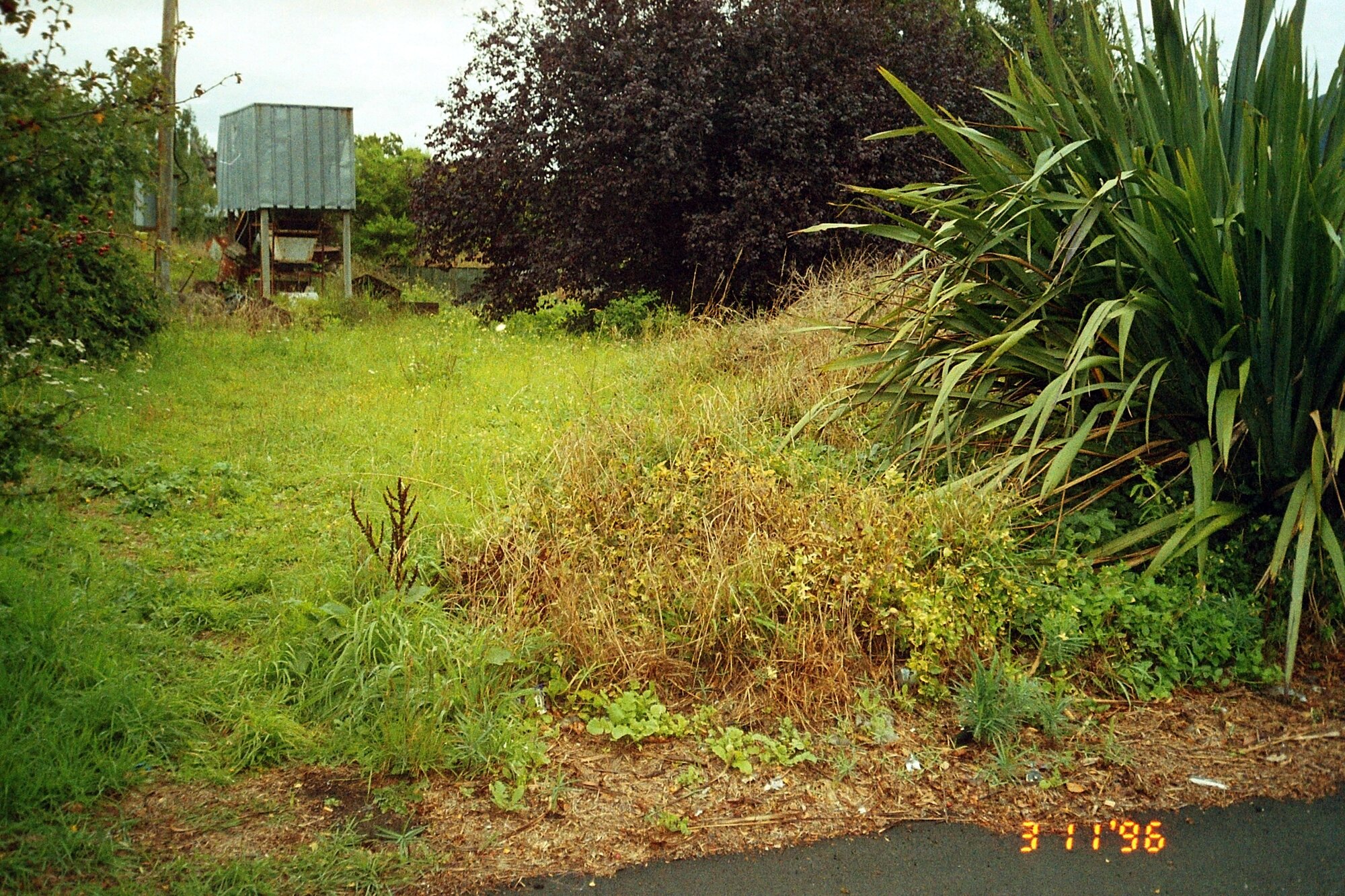 Former Kent garden centre, corner of Ranfurly Street and Fergusson Drive; machine shelter?