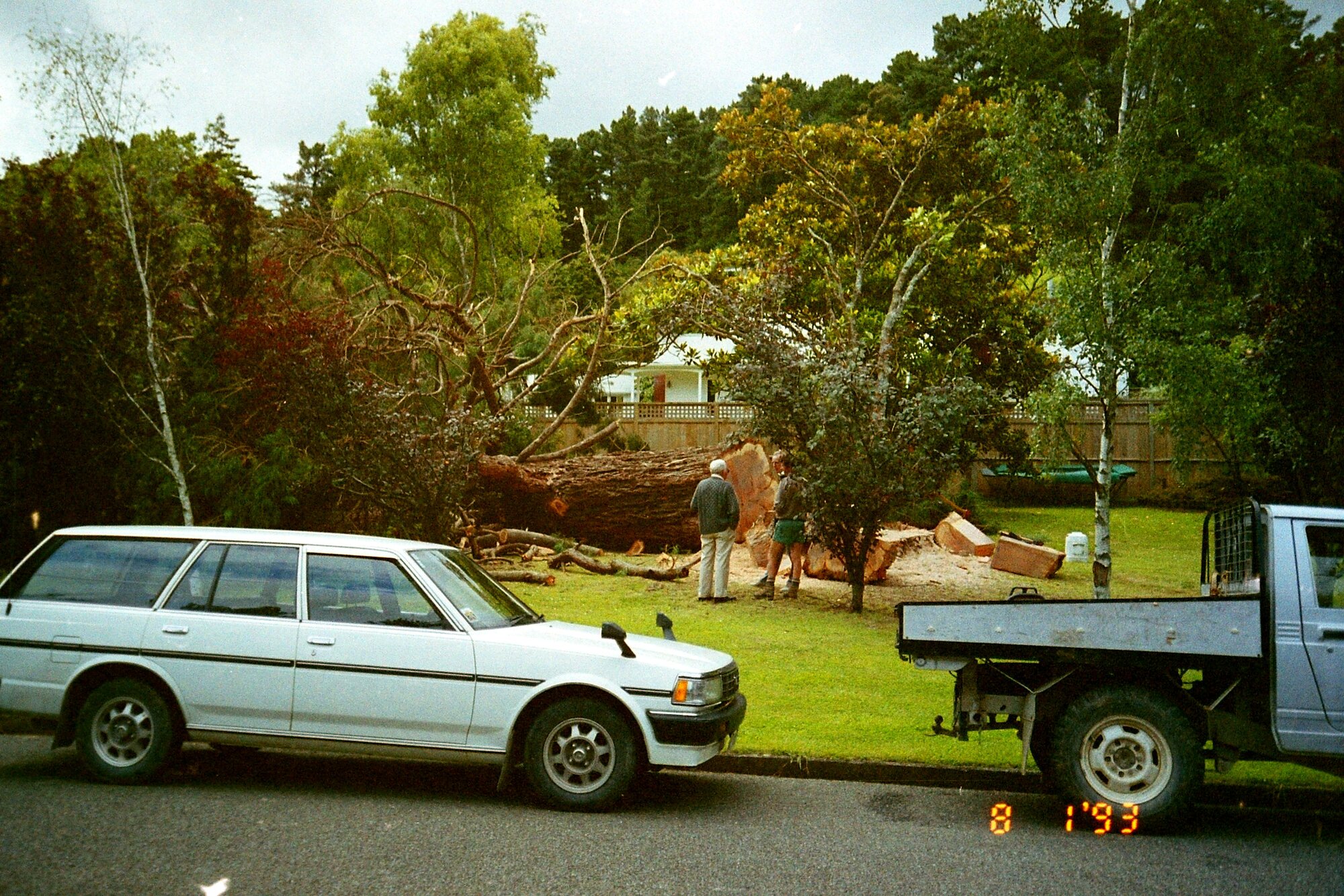 Chatsworth Road; redwood tree felled.