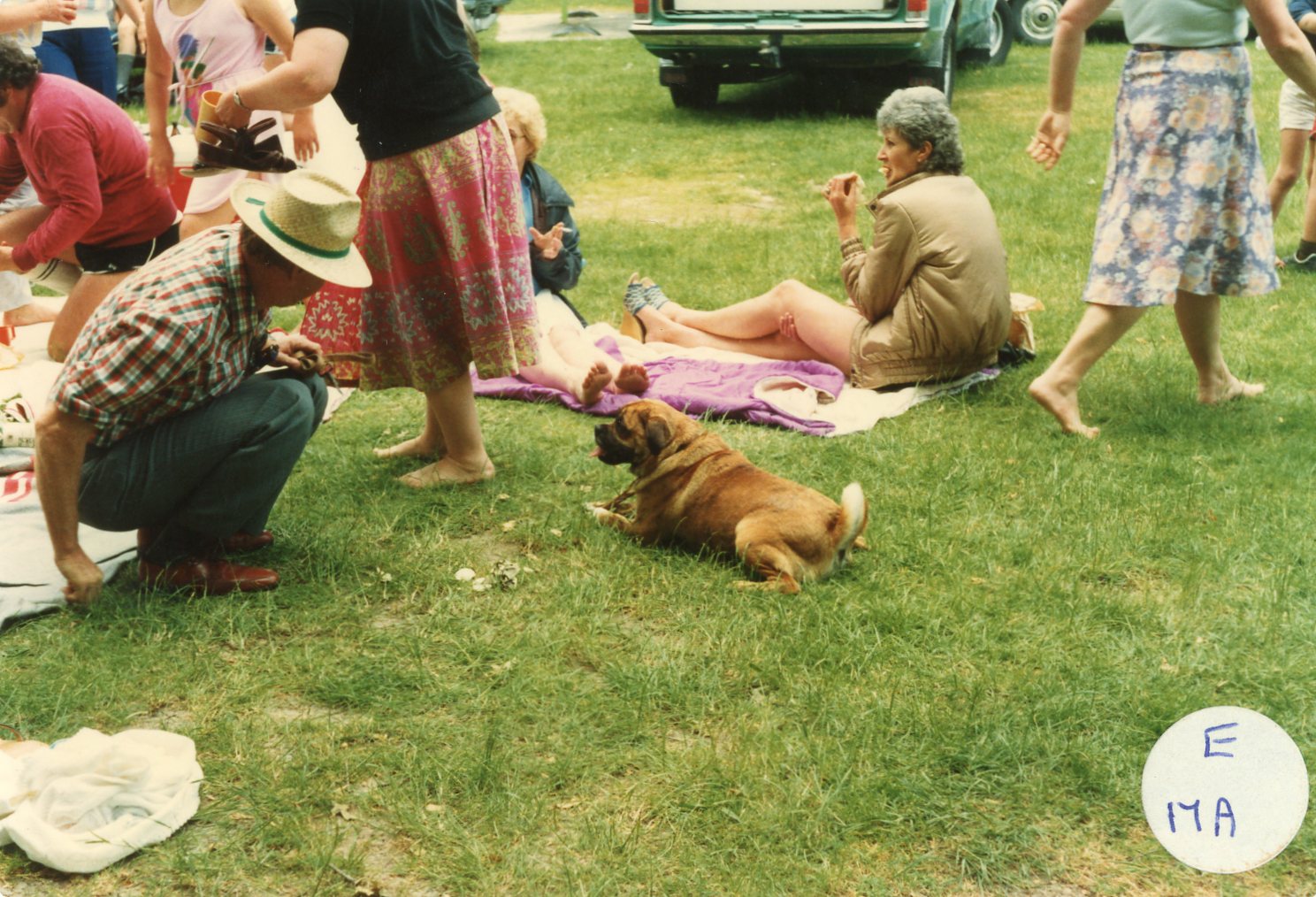 Upper Hutt Swimming Club Jubilee Celebrations, 1983