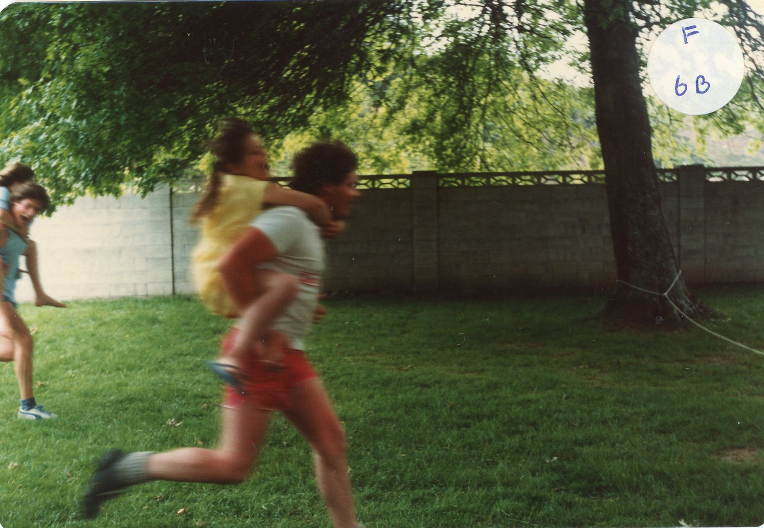 Upper Hutt Swimming Club Jubilee Celebrations, 1983