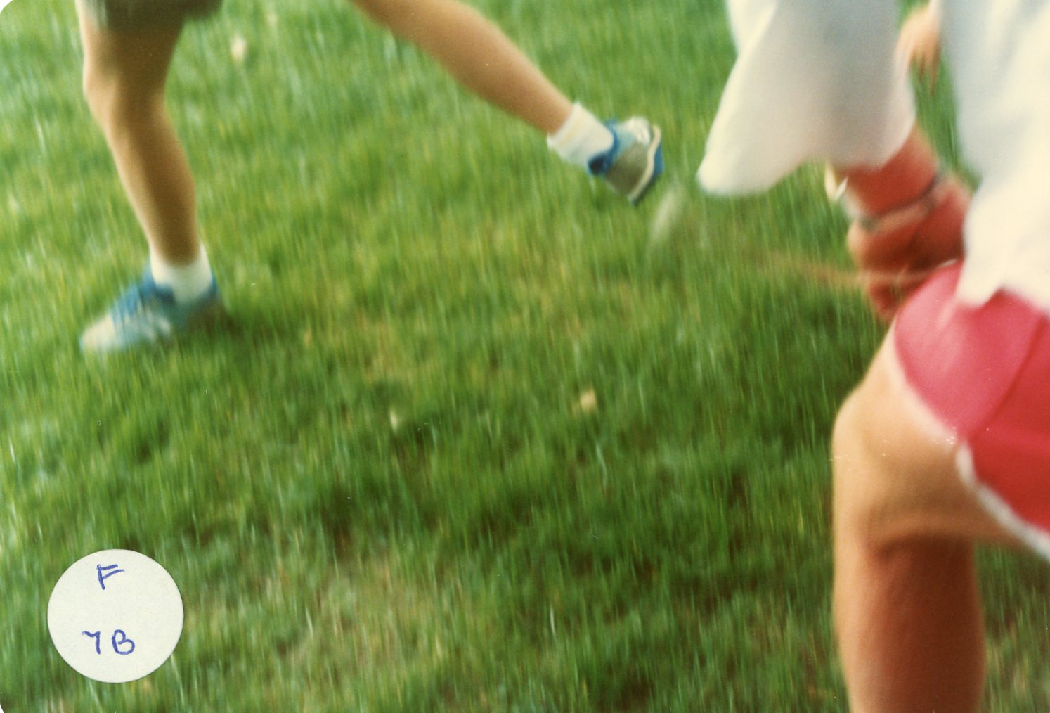 Upper Hutt Swimming Club Jubilee Celebrations, 1983