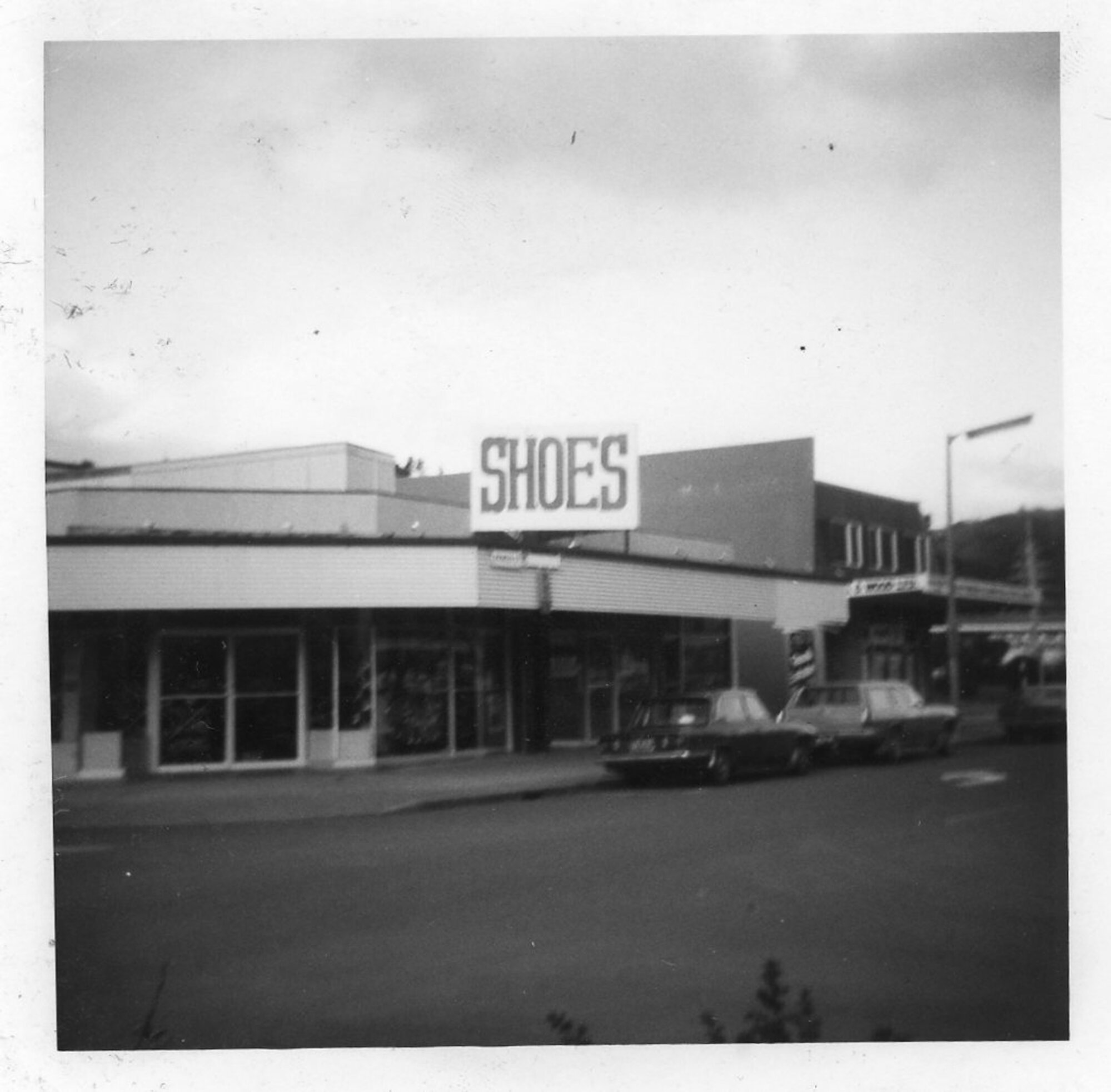 Princes Street, Upper Hutt; July 1977