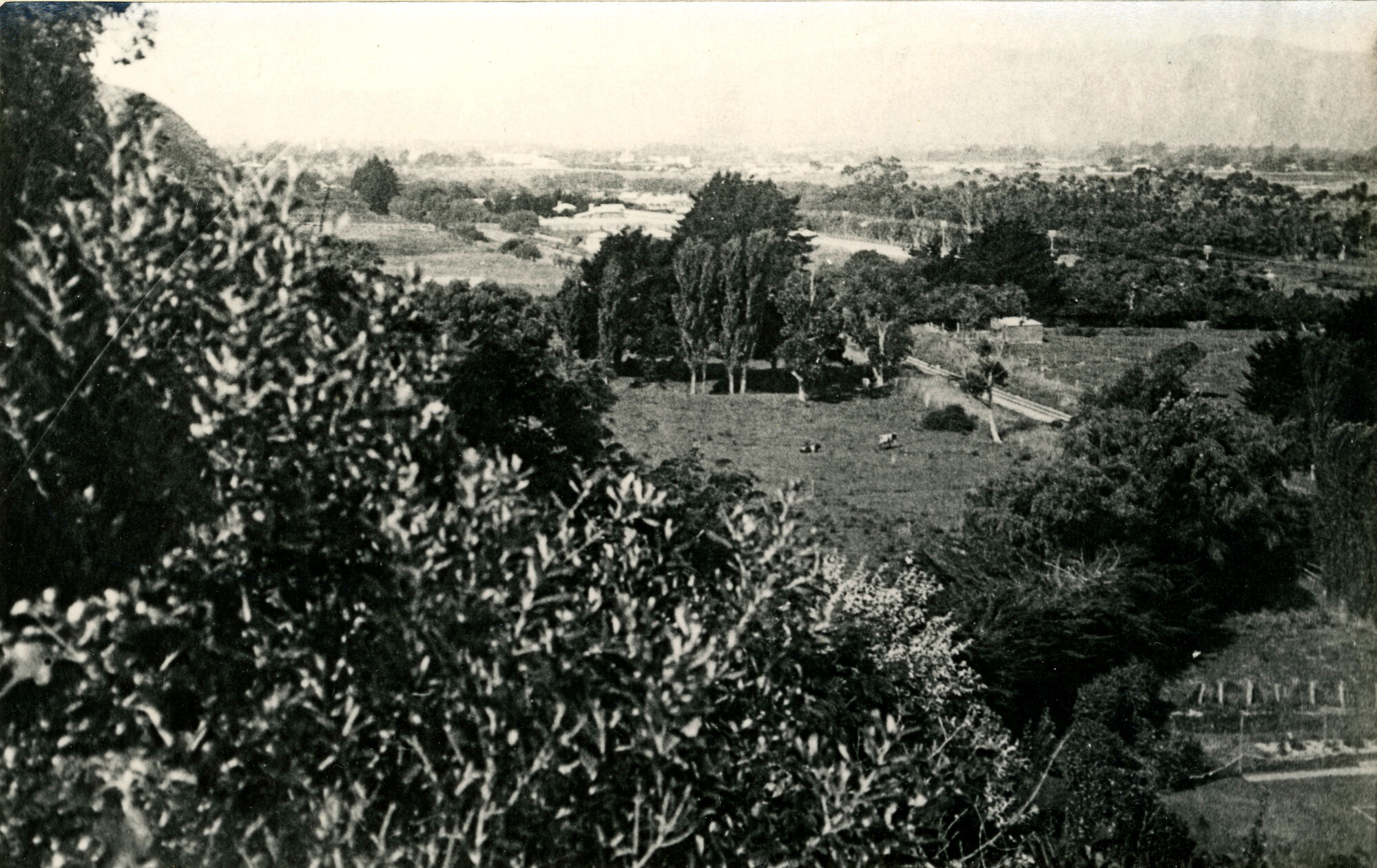 Lower Hutt from Percy's Reserve, 1902