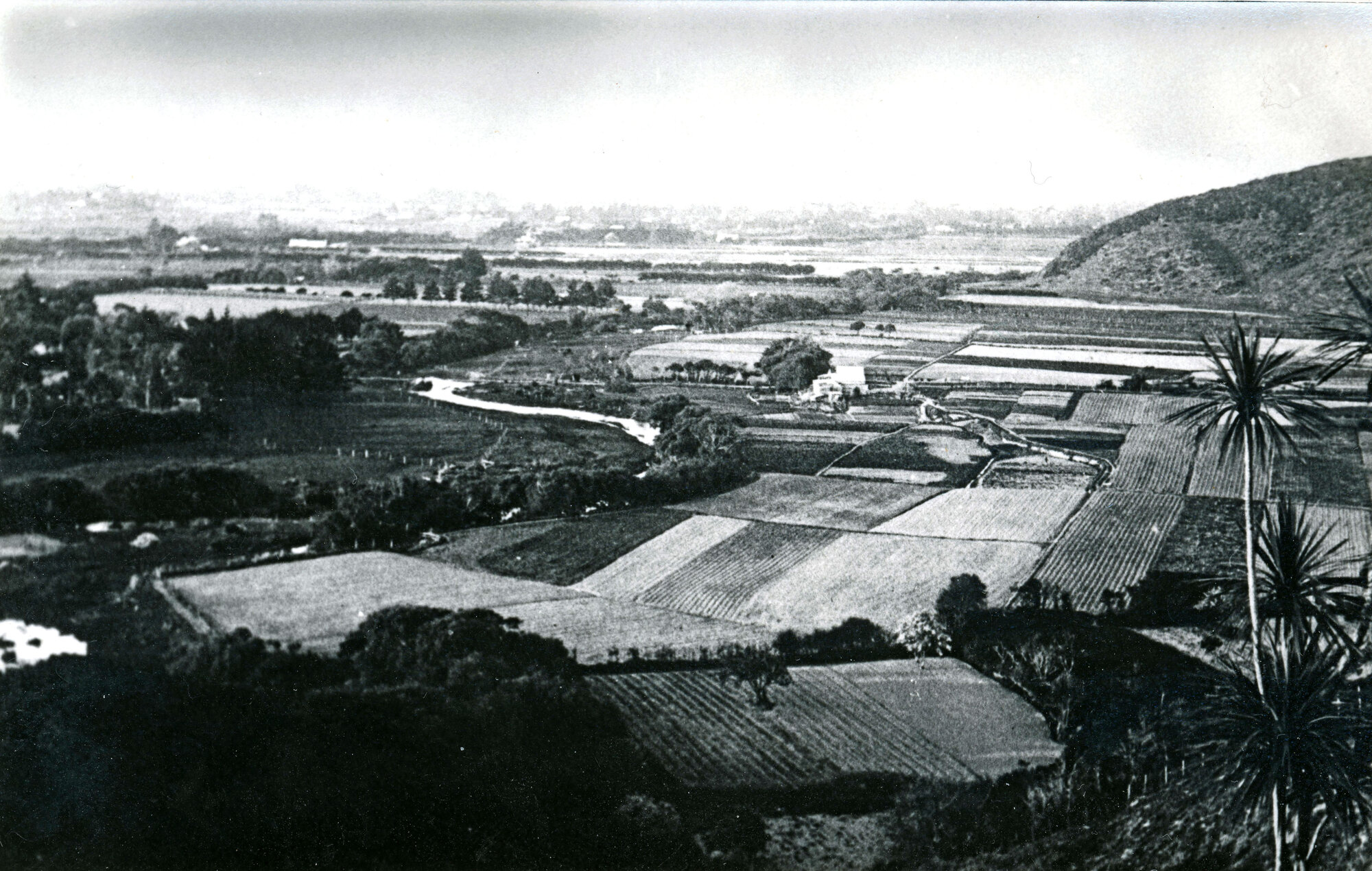 Lower Hutt, showing Gracefiled and Waiwhetu, 1902