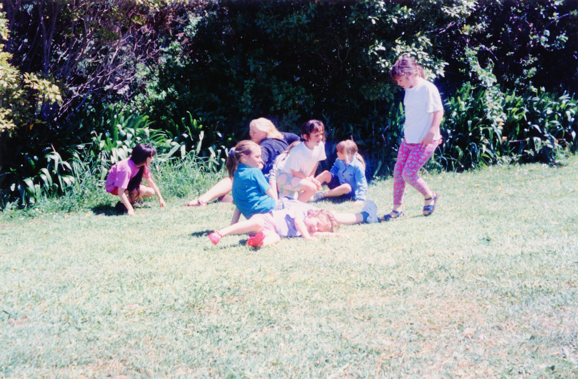 46th Pencarrow Brownie Pack (Upper Hutt)