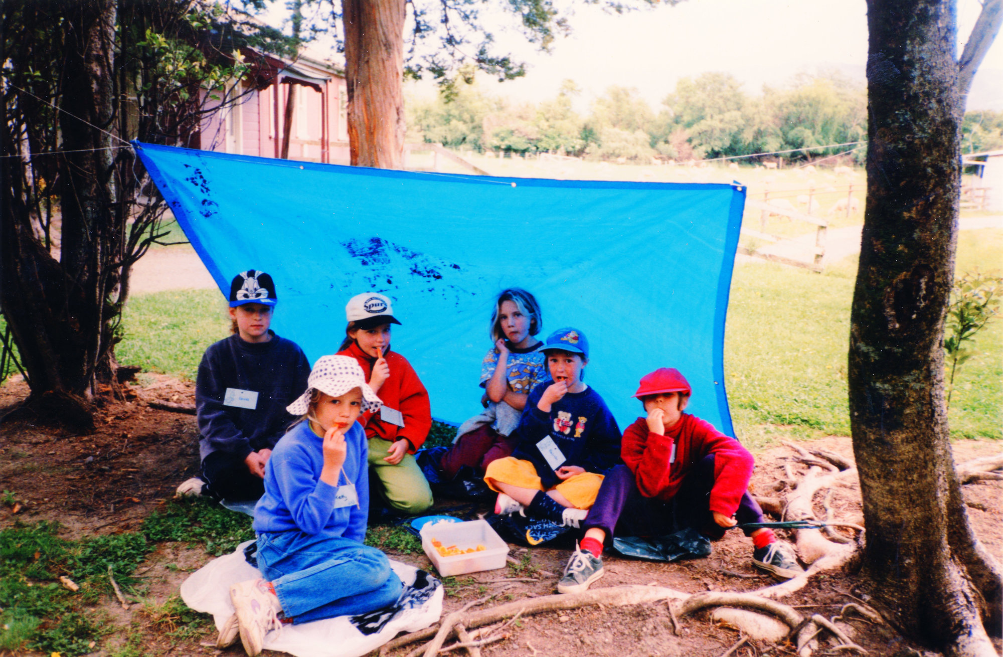 46th Pencarrow Brownie Pack (Upper Hutt)