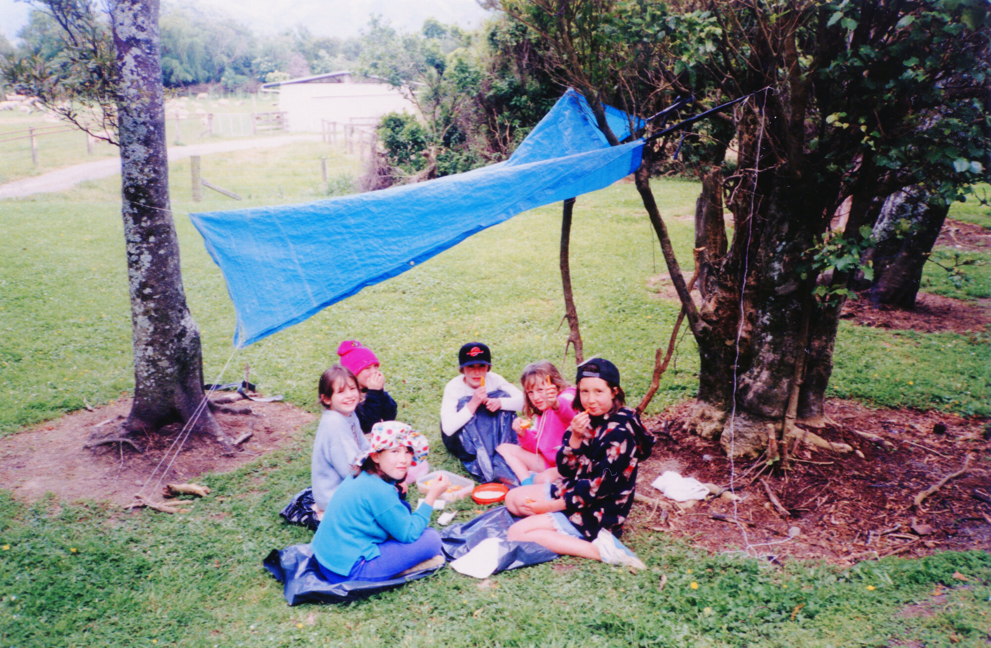 46th Pencarrow Brownie Pack (Upper Hutt)