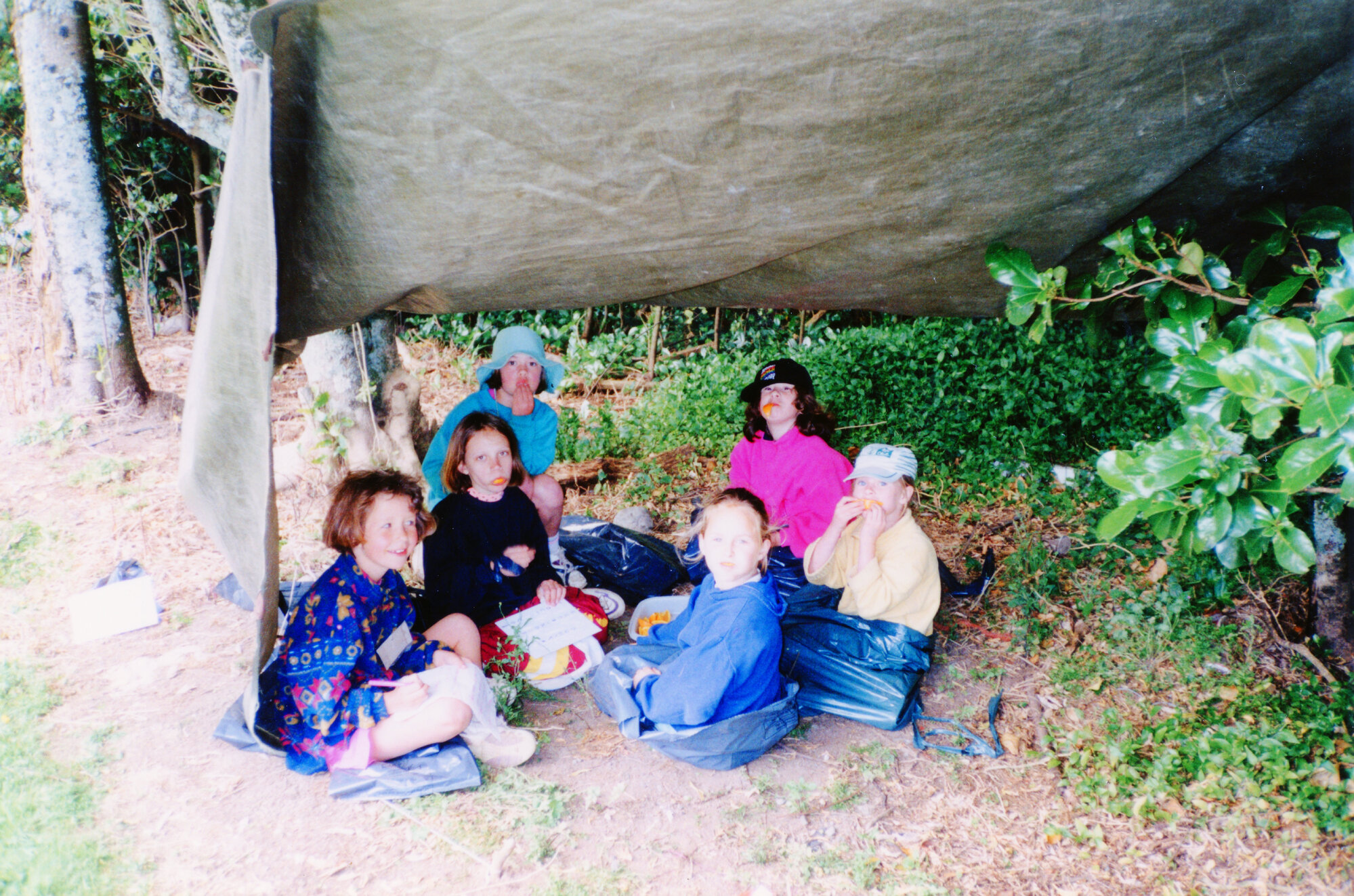 46th Pencarrow Brownie Pack (Upper Hutt)