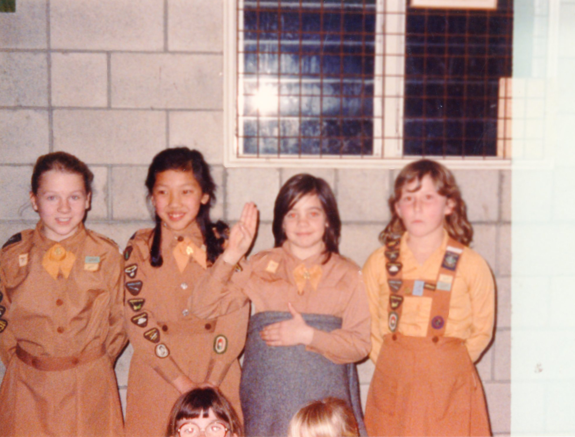 46th Pencarrow Brownie Pack (Upper Hutt); Fly Up