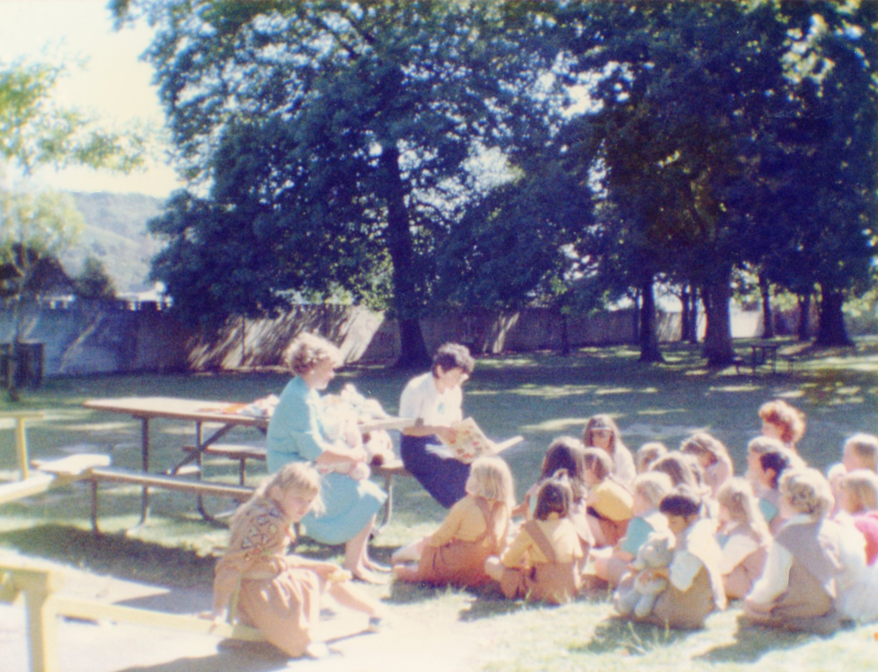 46th Pencarrow Brownie Pack (Upper Hutt)