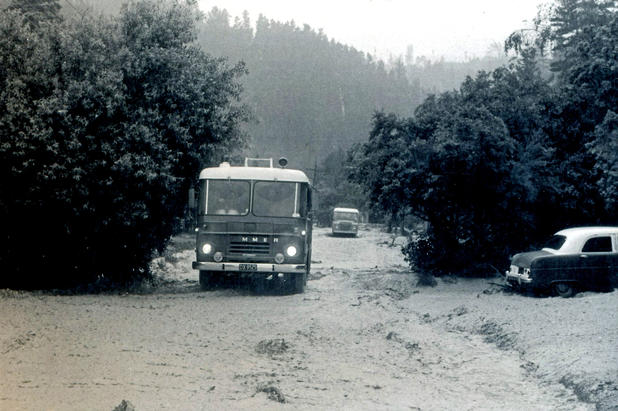 Flood, 1976; Silverstream, ref: 4 &mdash; 21