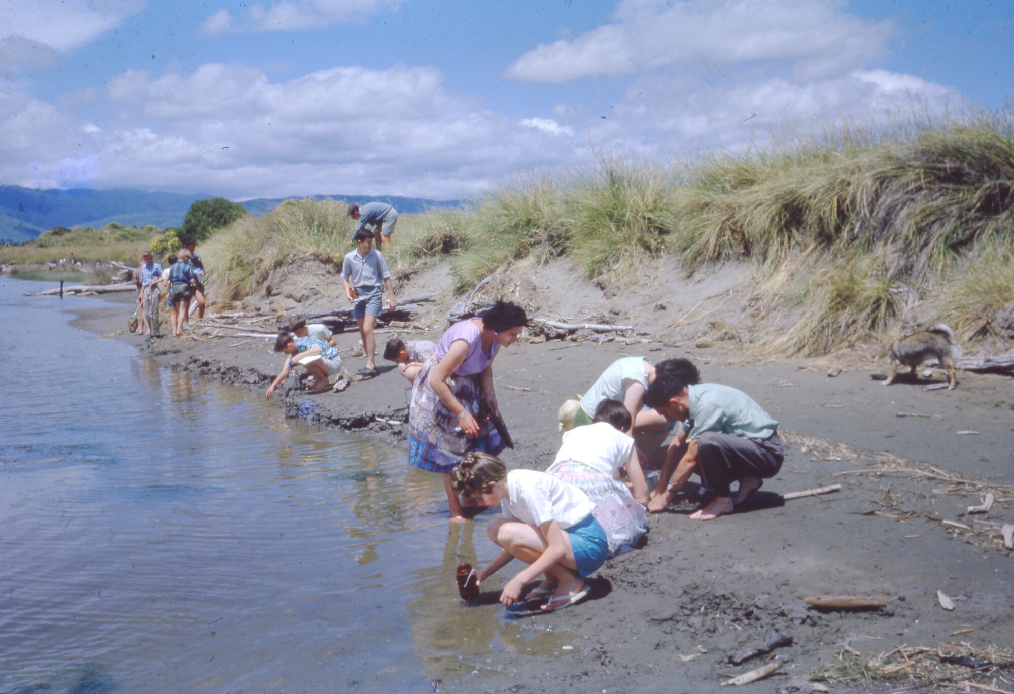 Upper Hutt College; 3A Field Trip to Ōhau Beach; 1962
