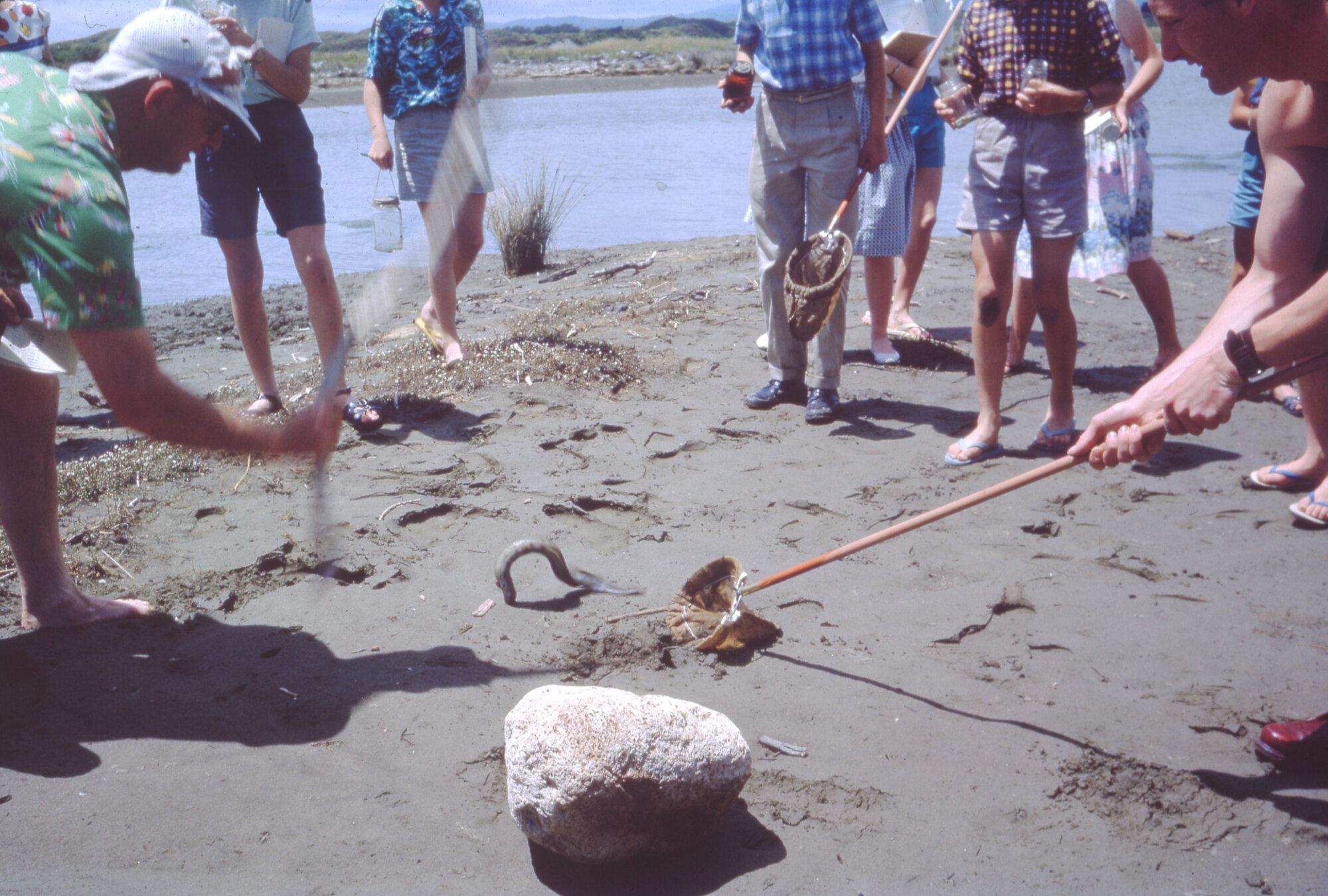 Upper Hutt College; 3A Field Trip to Ōhau Beach; 1962