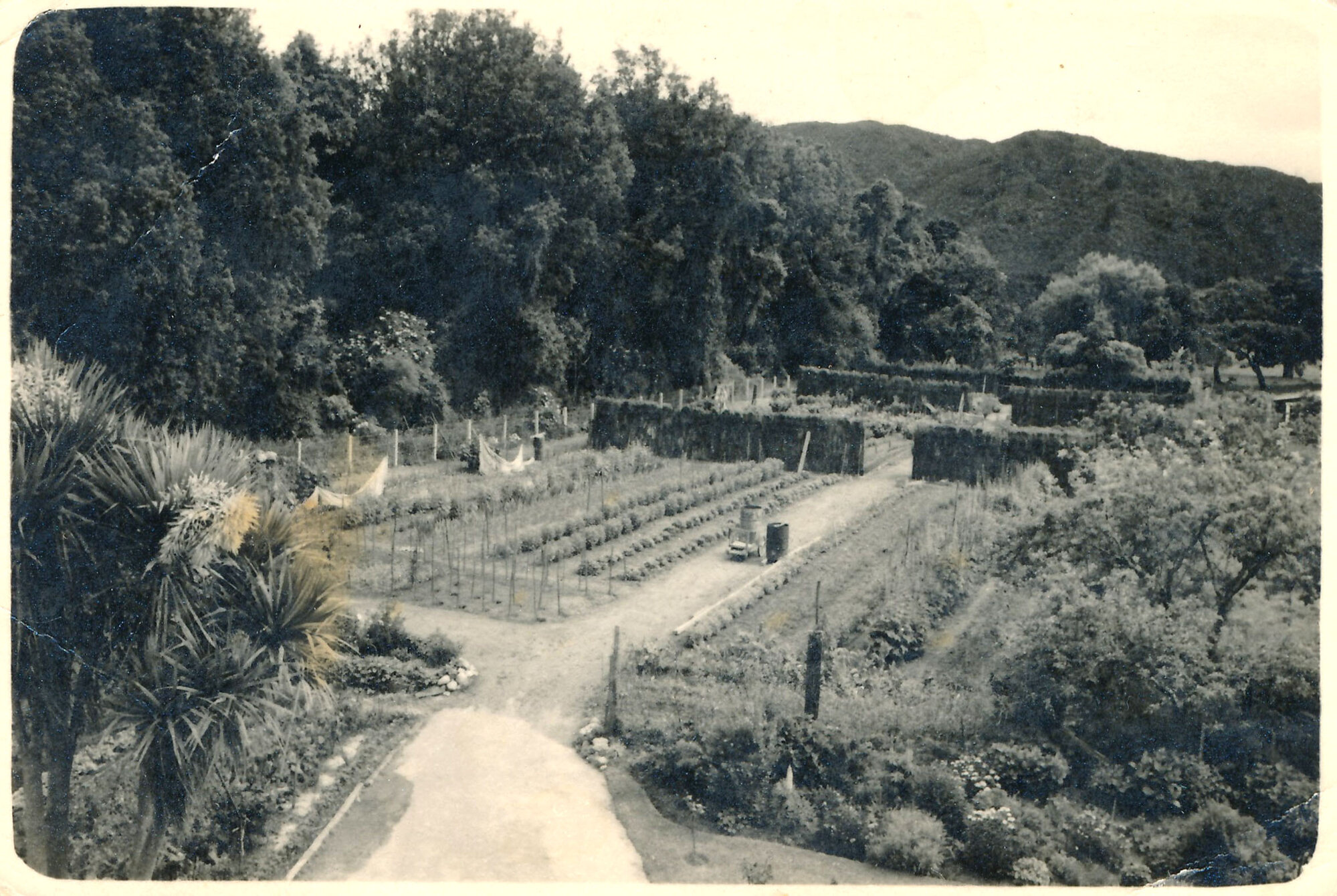 Wilscot Gardens Upper Hutt; ca 1950