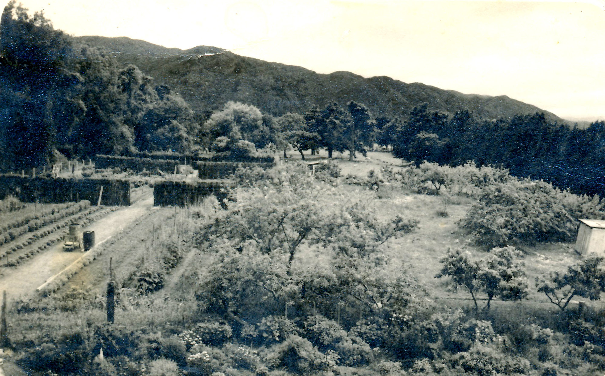 Wilscot Gardens Upper Hutt; ca 1950