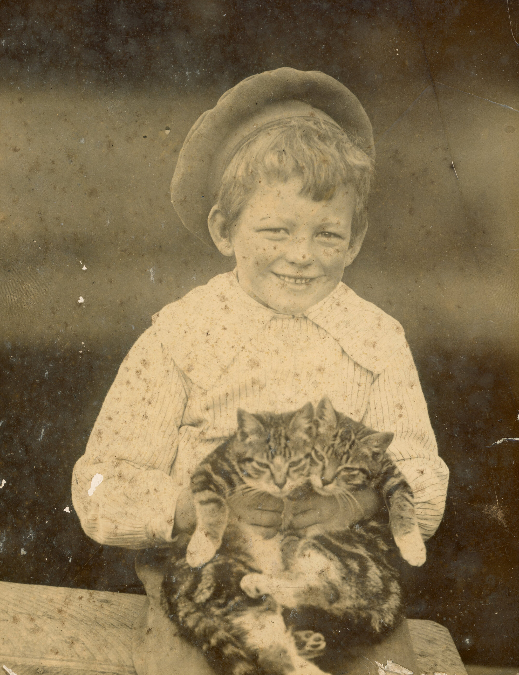 Campbell Family Photograph; Harman Campbell with Kittens; ca ca 1915