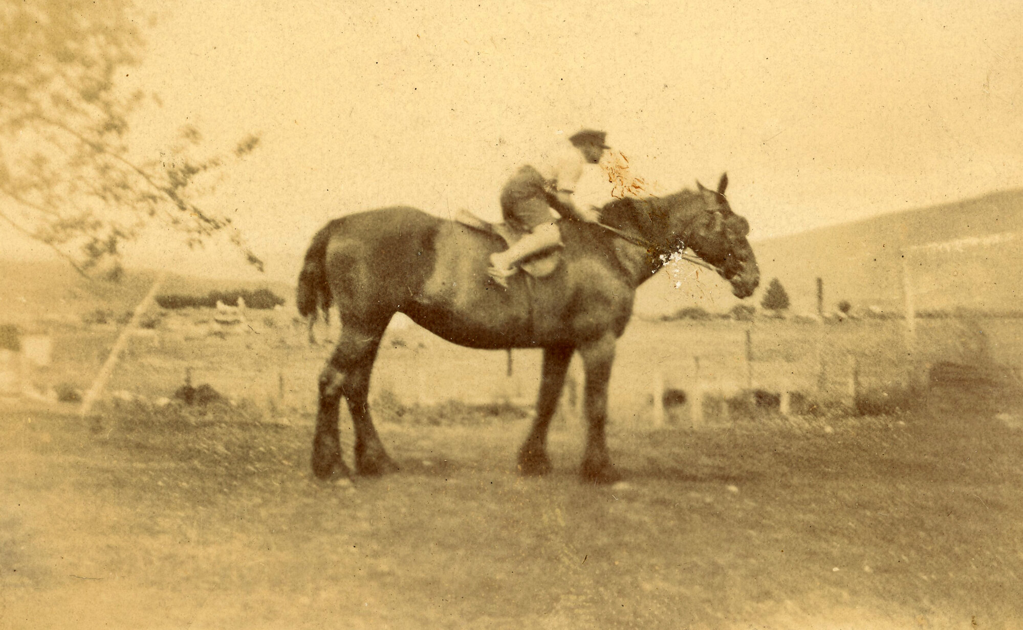 Man on horse; ca 1920s