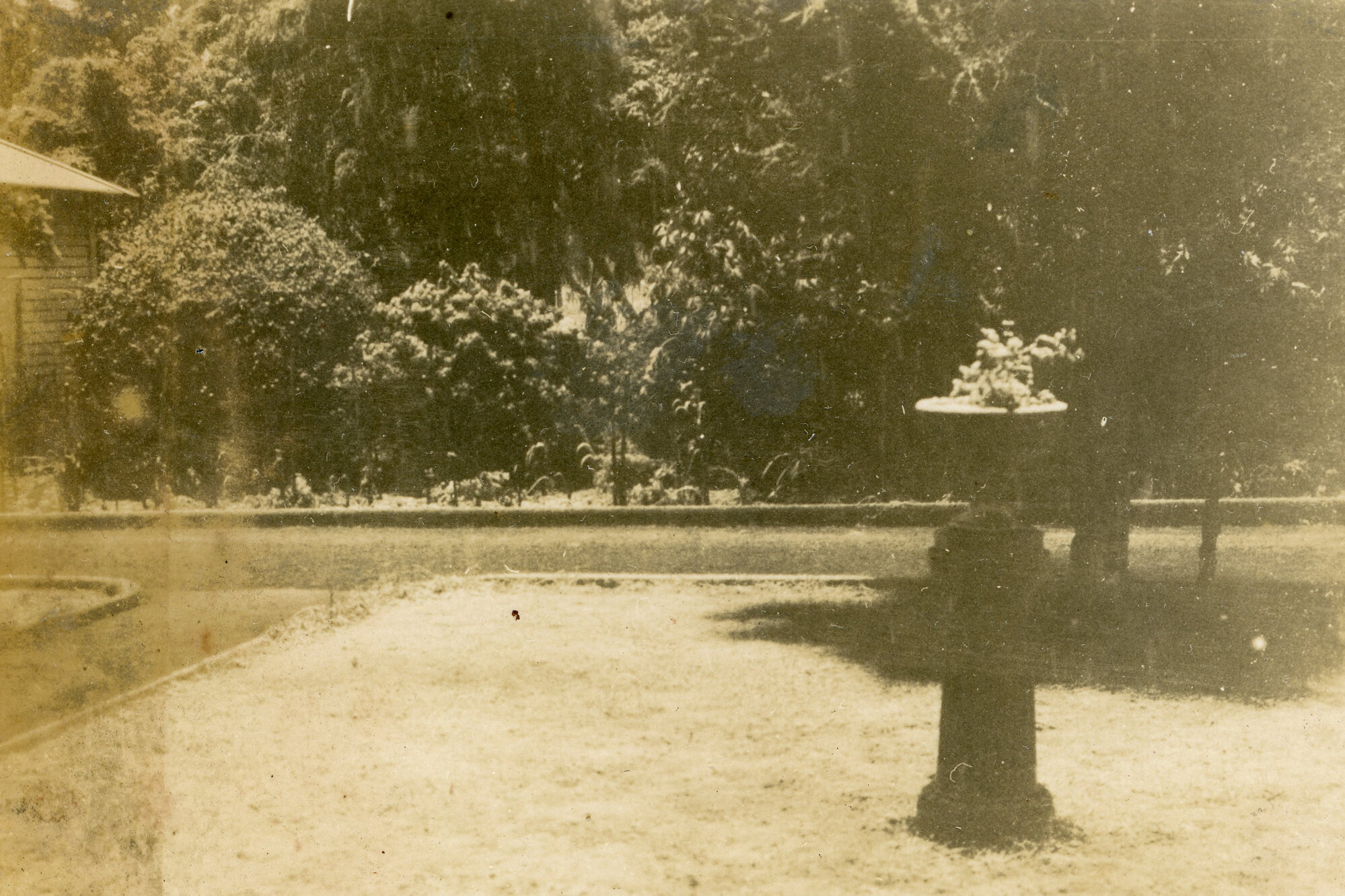 Campbell Family Photograph;  Garden; ca 1920s