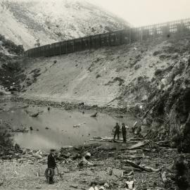 Rimutaka Incline; 'Siberia'; windbreak at windiest location on the Incline.  [P2-13-21]