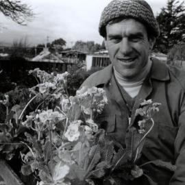 Kent Nurseries; corner of Fergusson Drive and Ranfurly Street; Harry Kent with a tray of polyanthus.
