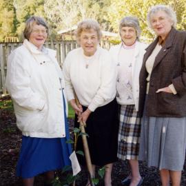 Women's suffrage centenary, 1993