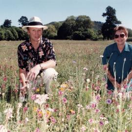 Te Marua; Ian and Dorothy Sherwin open two acres of wild flowers to the public, for Victim Support Group funds.