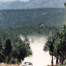 Mark Stewart and Charles Maconachie, Toyota Corolla, Three Skulls Road.