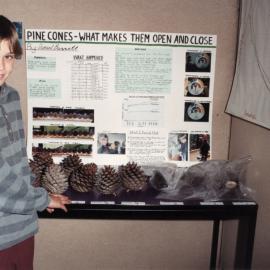 Daniel Bassett and pine cone experiment