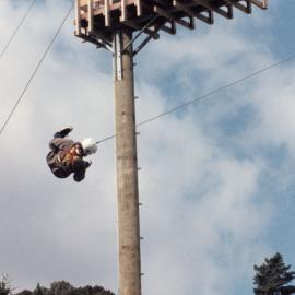 Te Marua; "Black stump giant pole swing".