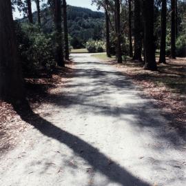 Tunnel Gully, at the head of Plateau Road, Te Marua.