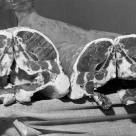 A & P show 1961; sheep carcasses jointed for competition.