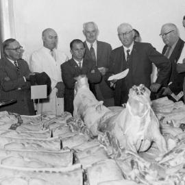 A & P show 1961; jointed meat carcasses displayed for judging.