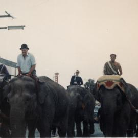 Main Street; elephant race to raise money for Maidstone pools filtration plant.