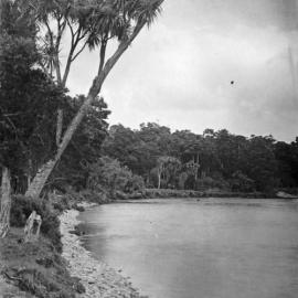 Hutt River at Trentham.