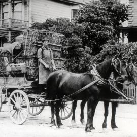 Hutt Valley History 20; Road Transport; horses and a brake