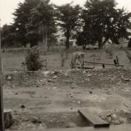 Dunlop  factory construction; cow grazing on adjacent land(?)