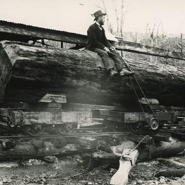 Timber industry; Greenwood's timber mill, and Greenwood's patent truck. [P5-21-598]