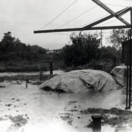 Flood, 1957; Seddon St.
