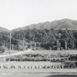 Moonshine Road, northern end, early 1950s