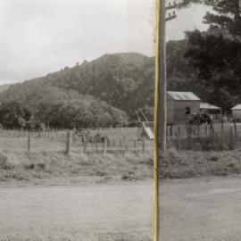 Moonshine Road, northern end, 1953