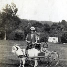 Poulson Collection; goat and cart, at J A Hazelwood's, Main Road; girl possibly Eda Poulson