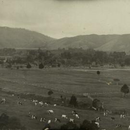 Bloomfield Farm, Te Marua (now site of golf course and speedway); Te Marua Bridge in left distance.