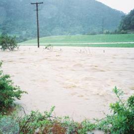 Flood, Karapoti; looking downstream from the river bank.