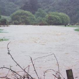 Flood, Karapoti; marooned horses at right; taken from the river bank, looking down-stream.