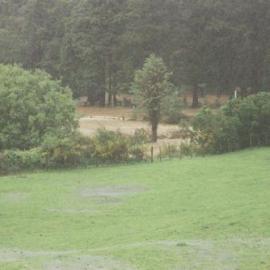 Flood, Karapoti; water crossing the road; river hidden by bank.