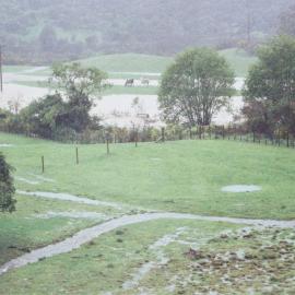Flood, Karapoti; marooned horses at end of island.