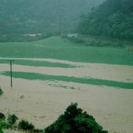 Flood, Karapoti; marooned horse.